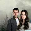 zapnaabdulkadir