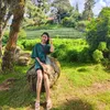 sai.khamm6