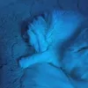 rbs_12334