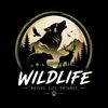 wild.animation