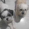 gabgab24510