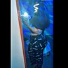 abbygalerose1