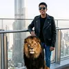 sayedmohamed8736