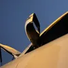 7a_ed3