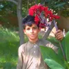 niamatkhan9888