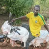 amadou.souroumn