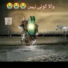 imtiaz.shah847