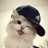 davi_desconect.com002