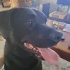 noemiramirez6