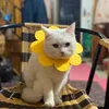thuyduongg2.0.2