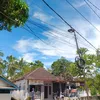 afiliet38