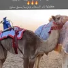 omanjal97