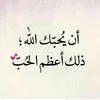 shhb3066972
