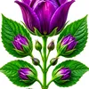 nazmennazmen988