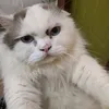 chanapaparaphot