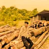 sakiluddin57