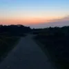 amelia_blane1