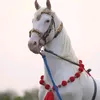 rana.saad.8043