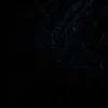 dxaun_4