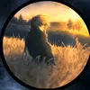 abid.plenger7