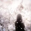 ruby_book0