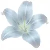 undacover123