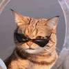 denaz_sigma