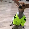 anamirandamercado1