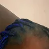 blueberry_myri
