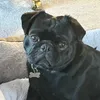 hi.com957