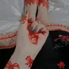zara.khan.pti.804
