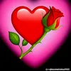 christianrajesh.cpg