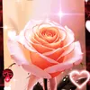 user5339210872168