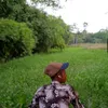 .rony198
