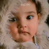nokarbabadi1