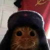 gato_sovietico1