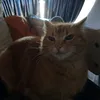 nieuwe.account.va