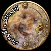 nohaila.gadja