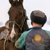 timur_8088