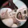 chanbomde_1233