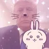 pudkat.swtlog