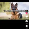karol04601