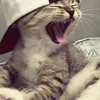 m.