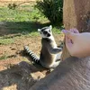 eirini_frag1