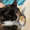 niomiuh