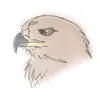 skyguardwingsofrenewal