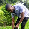 user1306714577692