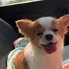 punpunpunnn2