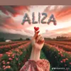 jutt786786.zea
