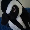 iyes.ilike.pengui